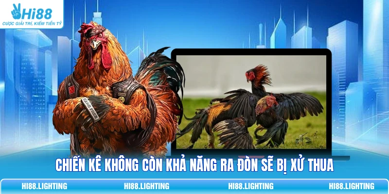 Đá Gà - Quy Tắc Phân Xử Thắng, Thua Và Hoà Trong Trận Đấu 4 Chiến kê không còn khả năng ra đòn sẽ bị xử thua