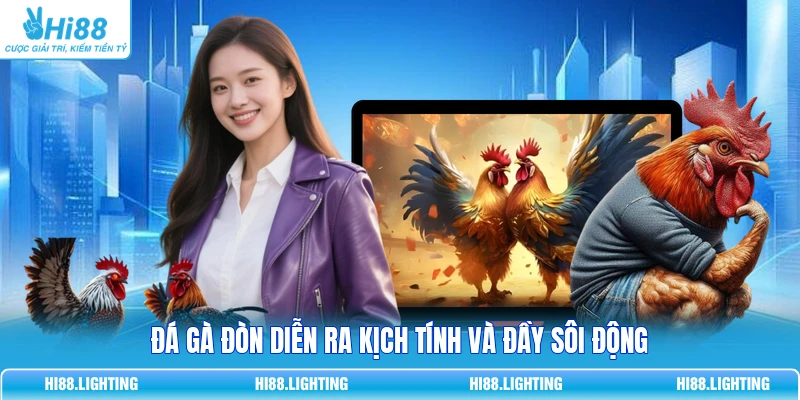 Đá Gà Đòn Là Gì? So Sánh Chi Tiết Với Đá Gà Có Cựa 2026 2 Đá gà đòn diễn ra kịch tính và đầy sôi động